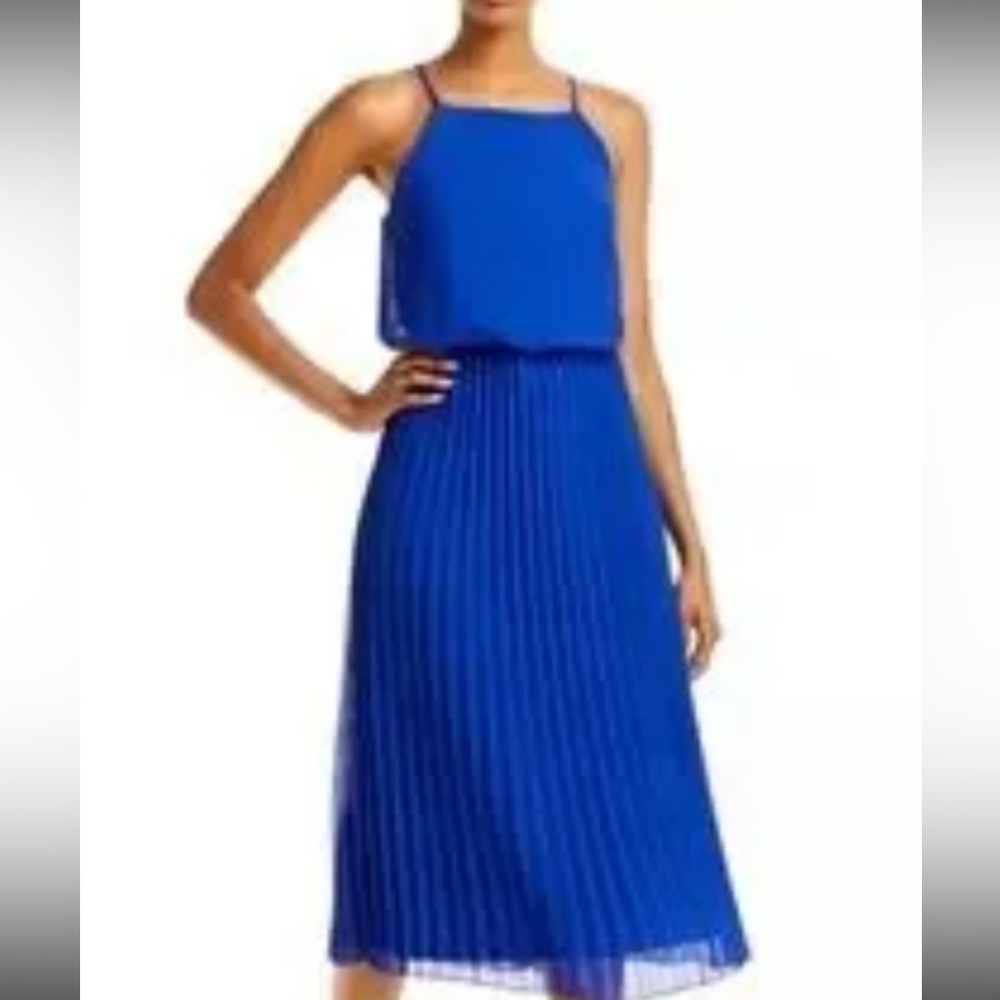 Pleated skirt maxi